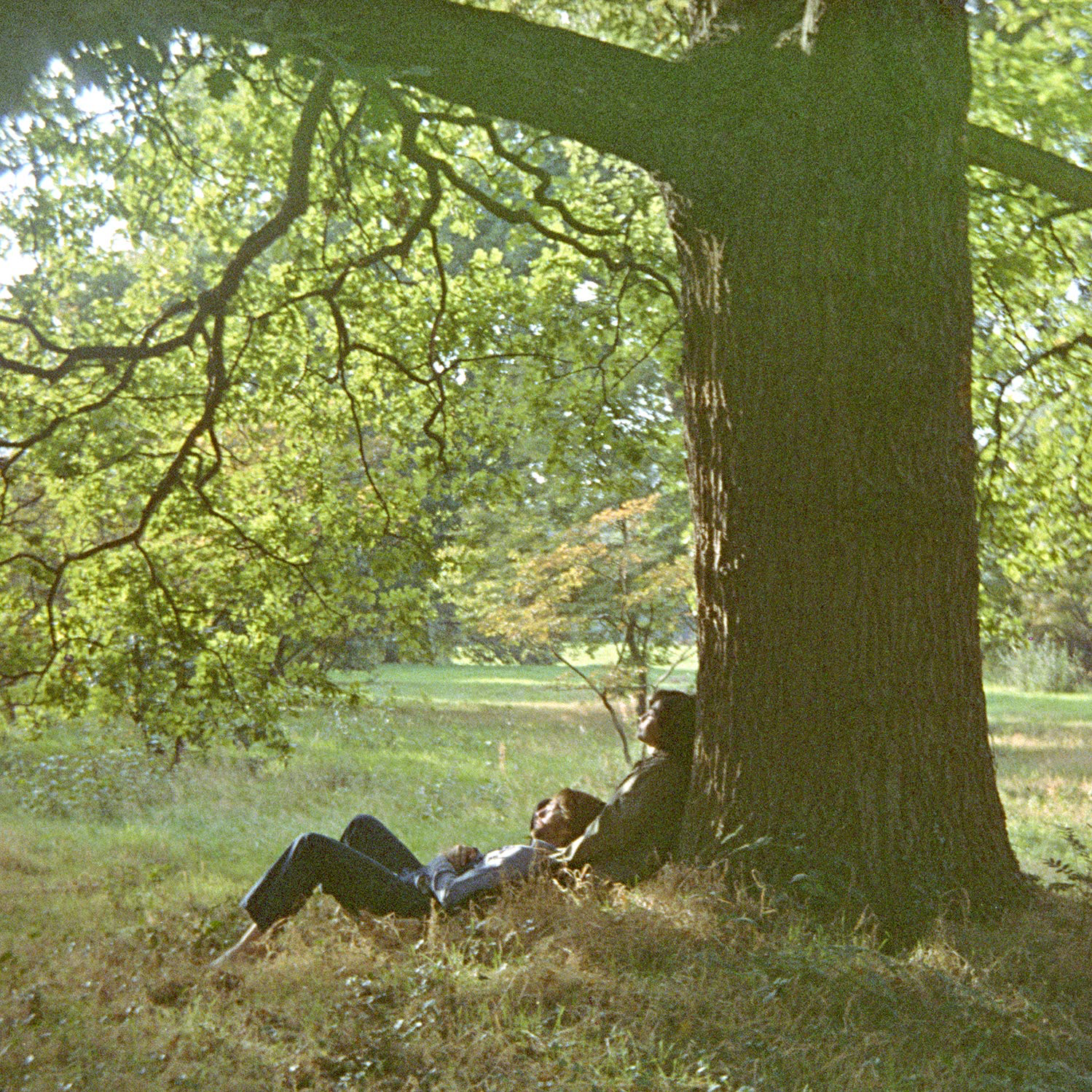 Plastic Ono Band - Half-Speed Mastered 180 gram (2 LP)