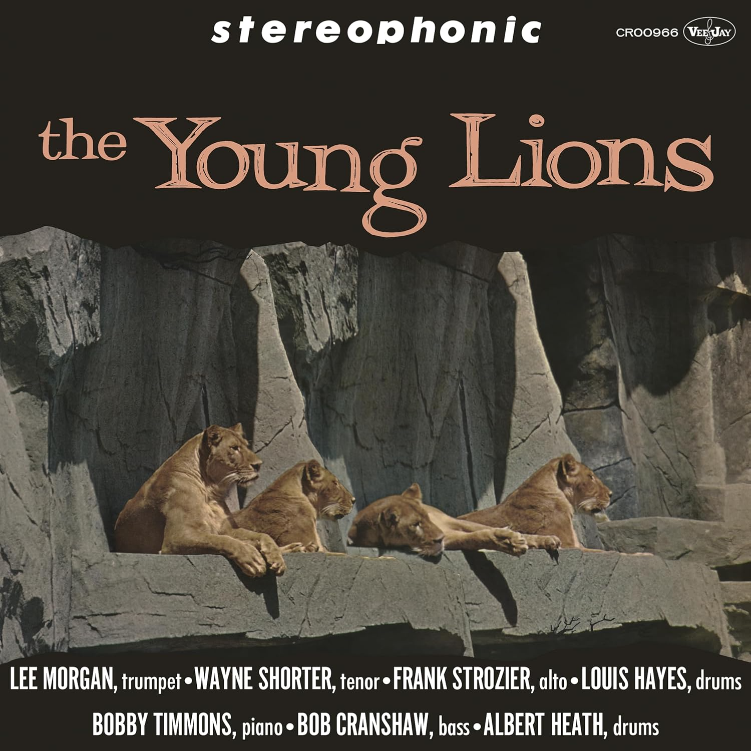 The Young Lions